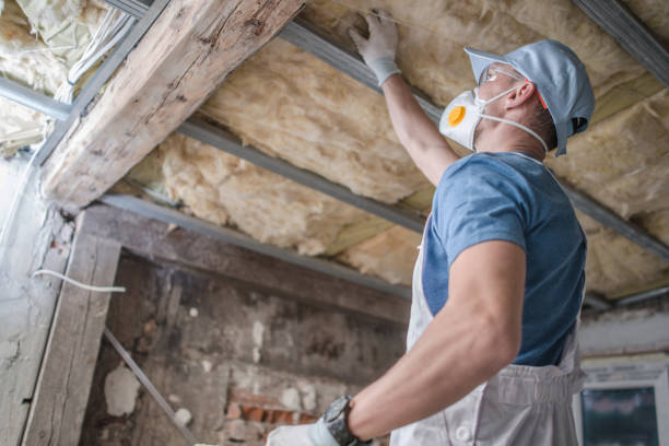 Best Insulation Contractors for Homes  in Arlington Heights, WA