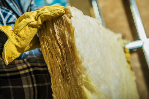 Best Insulation Removal  in Arlington Heights, WA