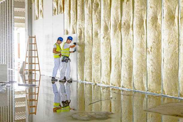 Best Professional Insulation Contractor  in Arlington Heights, WA
